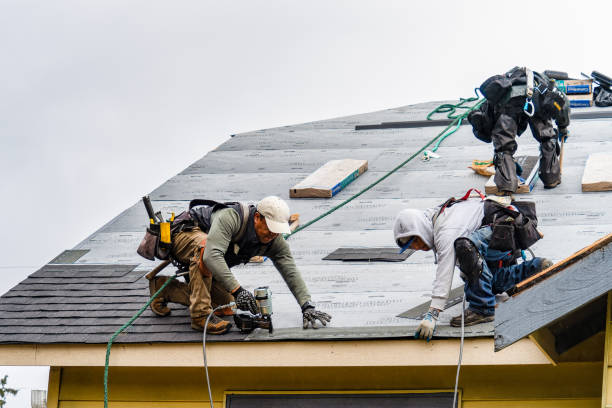 Professional Roof Replacement technician working in Jersey Mills, PA